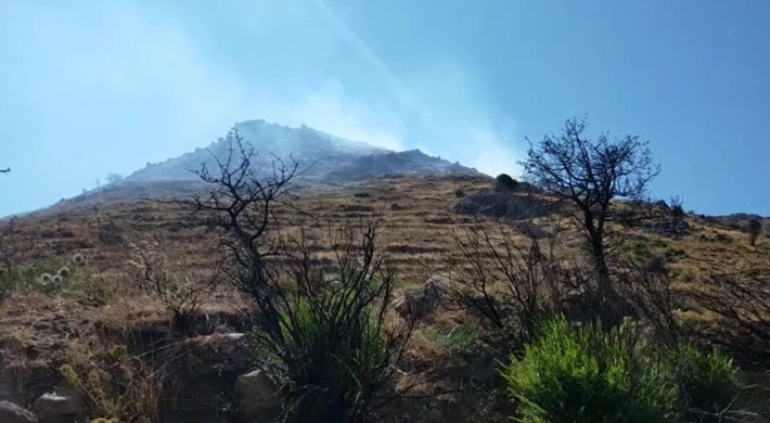 Bodrum'daki yangında 3 hektar alan zarar gördü