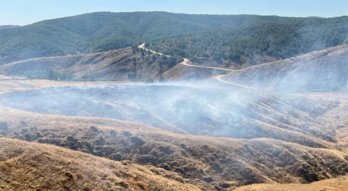 Bingöl’de örtü yangını ormanlık alana sıçramadan söndürüldü