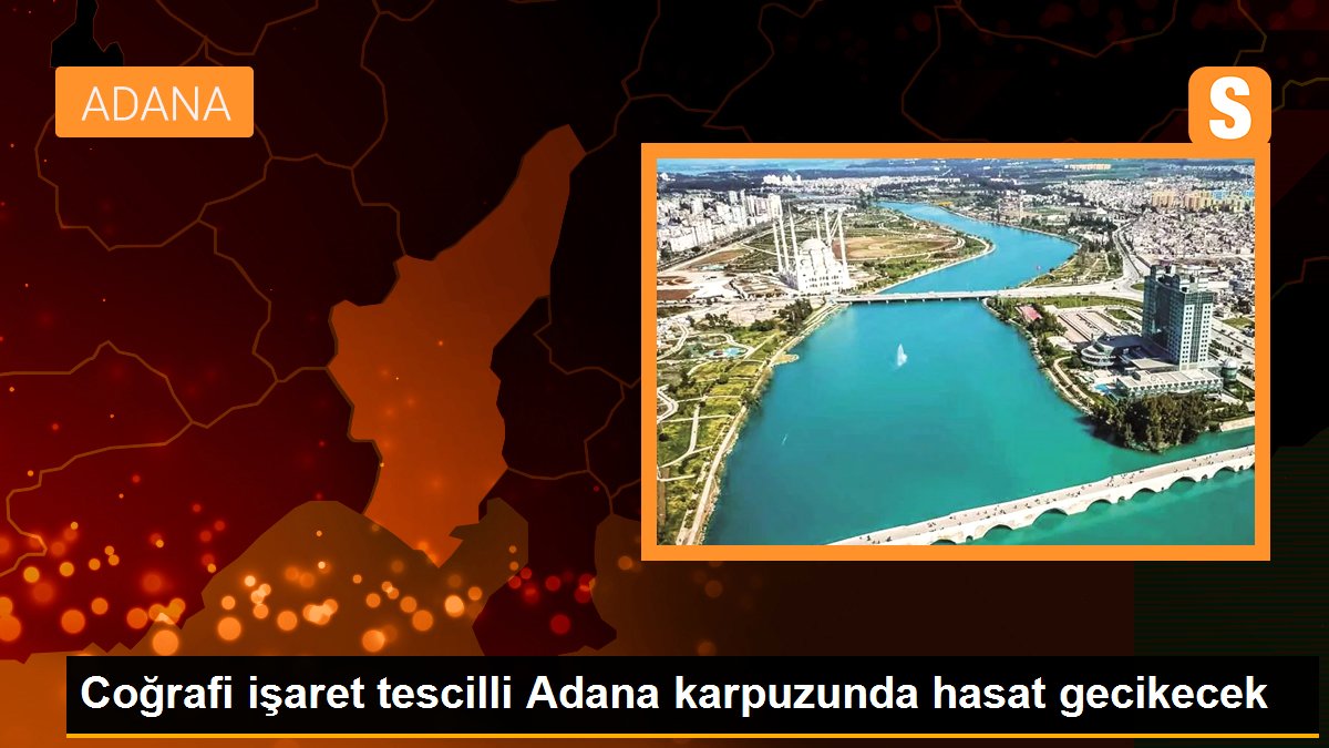 Coğrafi işaret tescilli Adana karpuzunda hasat gecikecek