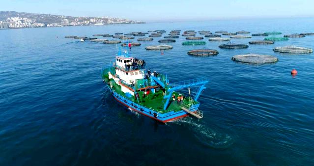 Trabzon'da su ürünleri üreticileri Japonya ile serbest ticaret anlaşması yapılmasını istiyor