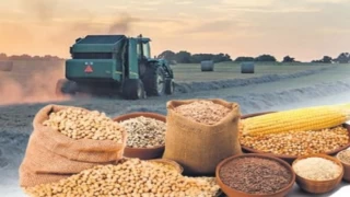 Tarım Ürünleri Fiyat Endeksi’nin Haziran verileri açıklandı